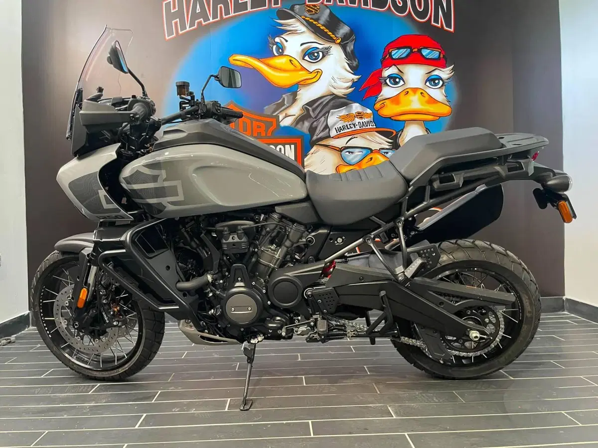 Harley-Davidson Pan America 1250 Special (2020 - 25) (4)
