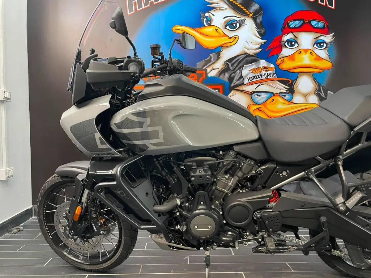 Harley-Davidson Pan America 1250 Special (2020 - 25) (5)