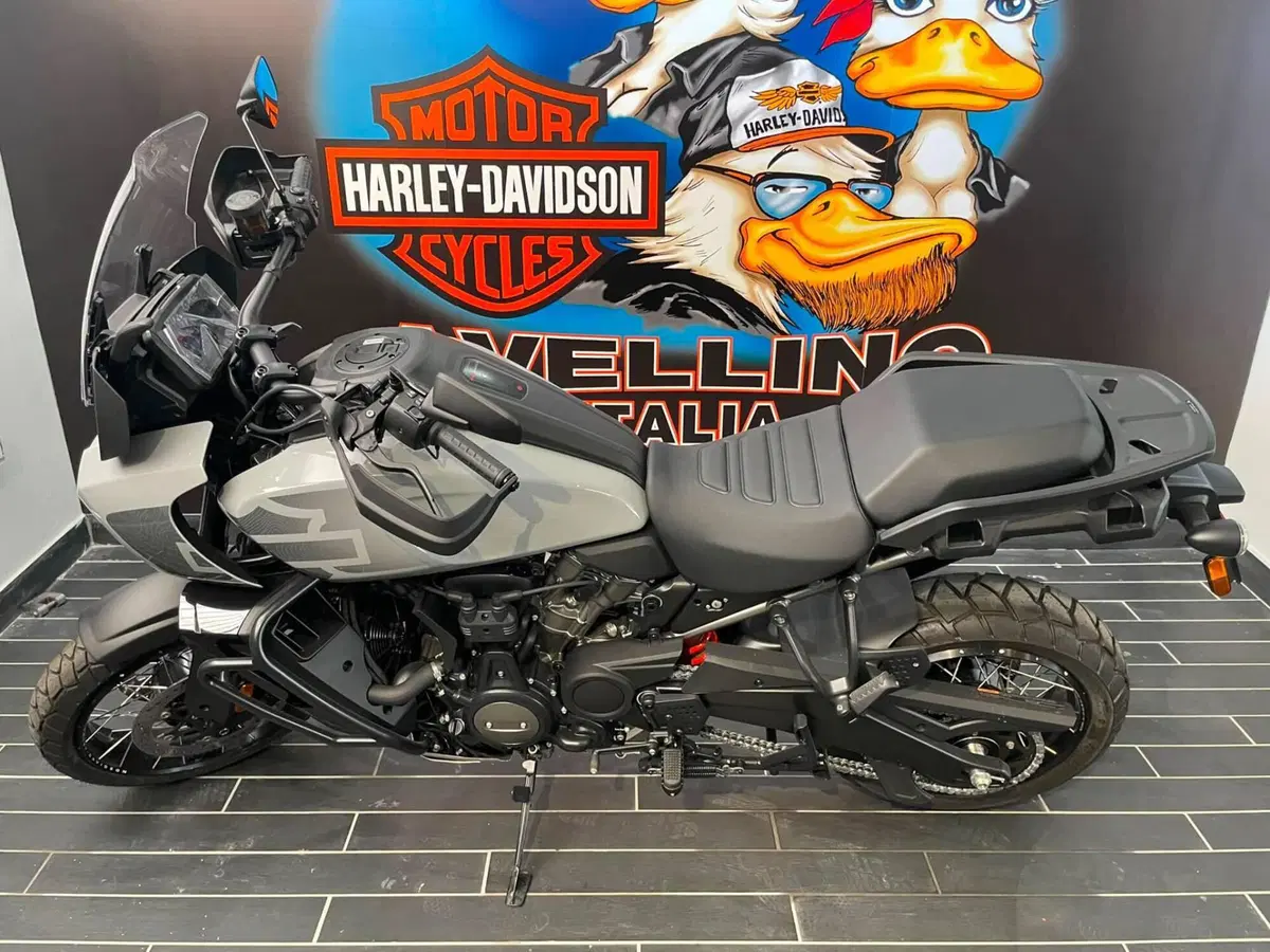 Harley-Davidson Pan America 1250 Special (2020 - 25) (6)