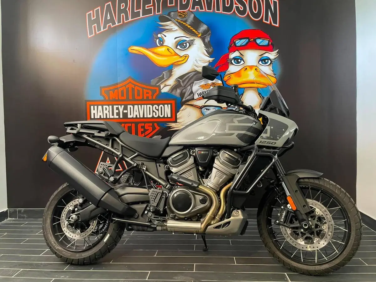 Harley-Davidson Pan America 1250 Special (2020 - 25) (7)