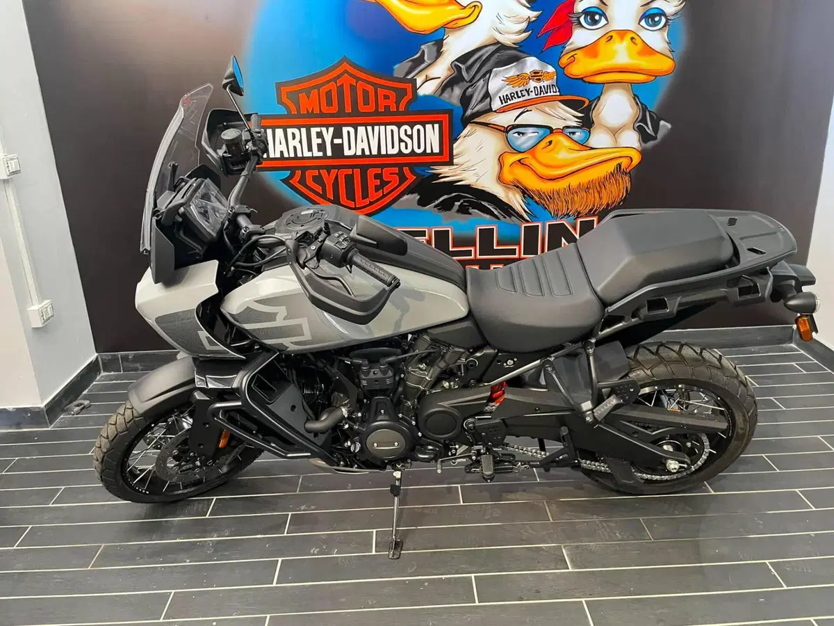 Harley-Davidson Pan America 1250 Special (2020 - 25) (8)