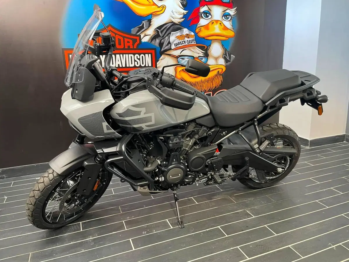 Harley-Davidson Pan America 1250 Special (2020 - 25) (9)