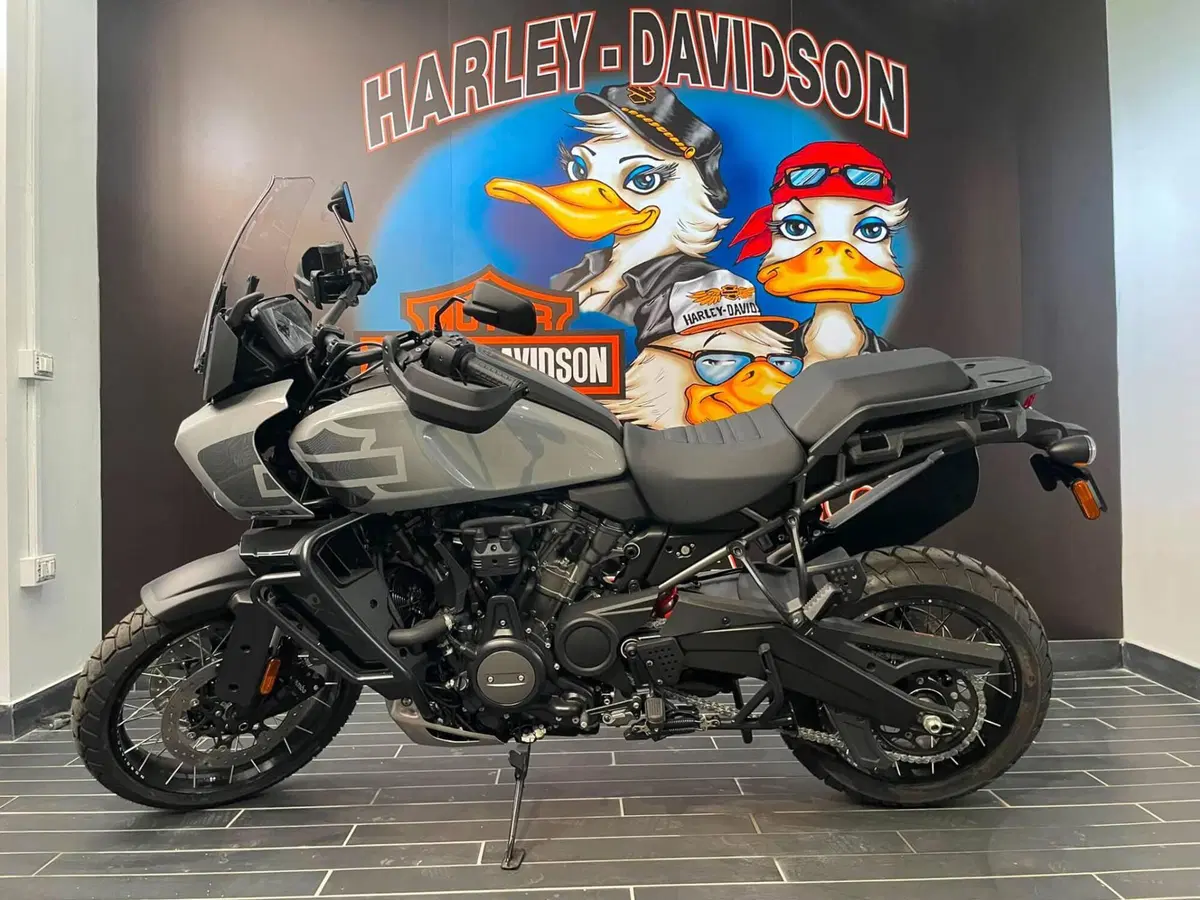 Harley-Davidson Pan America 1250 Special (2020 - 25) (10)