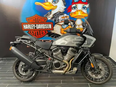 Harley-Davidson Pan America 1250 Special (2020 - 25) nuova