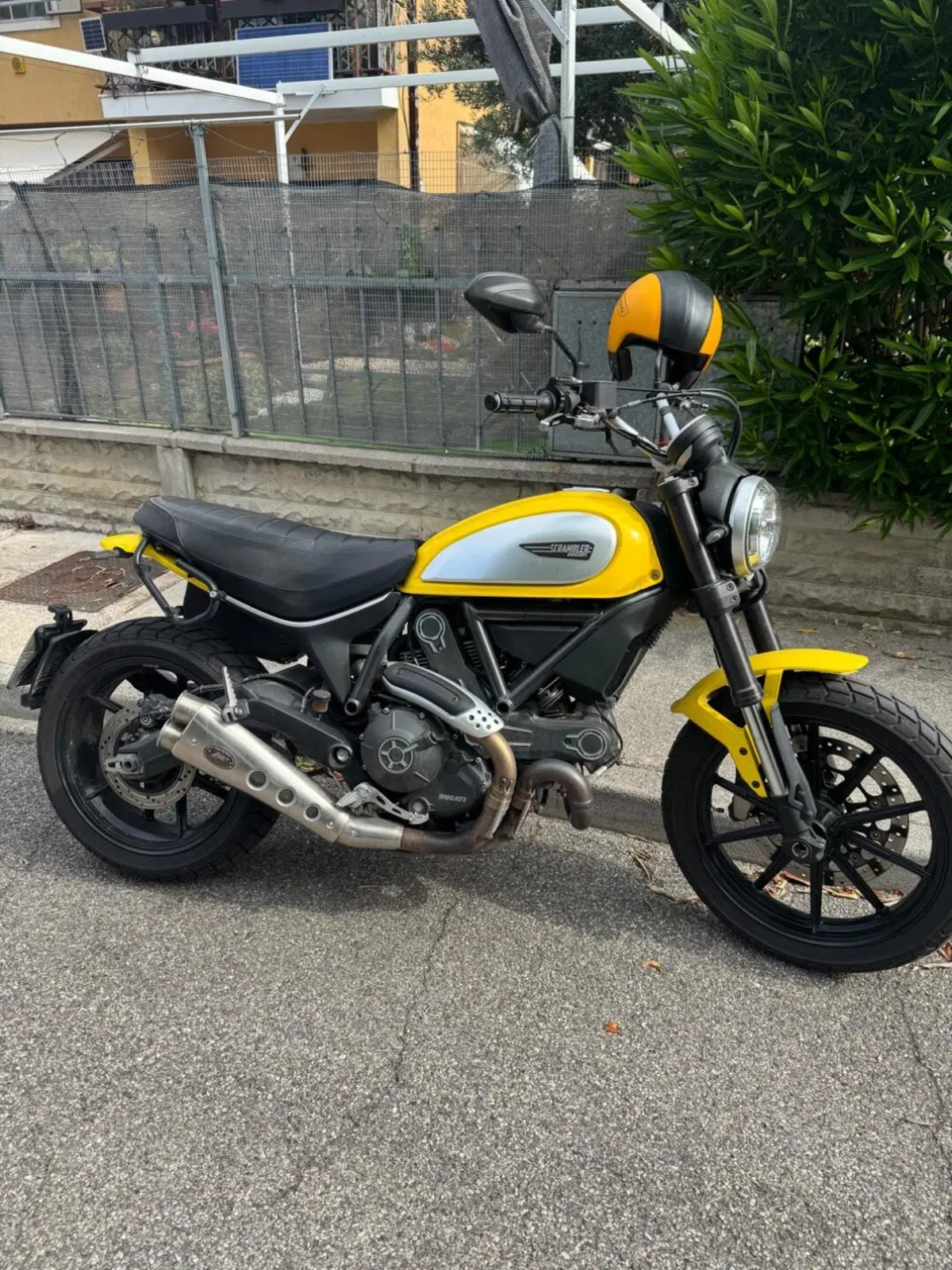 Ducati Scrambler 800 Icon (2015 - 16) (8)