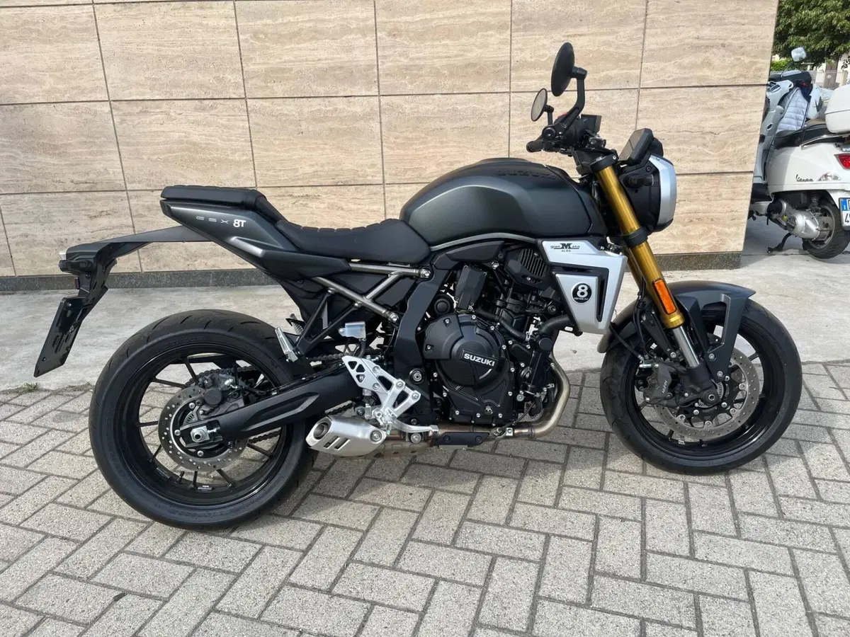 Suzuki GSX-8T (2025 - 26) (3)