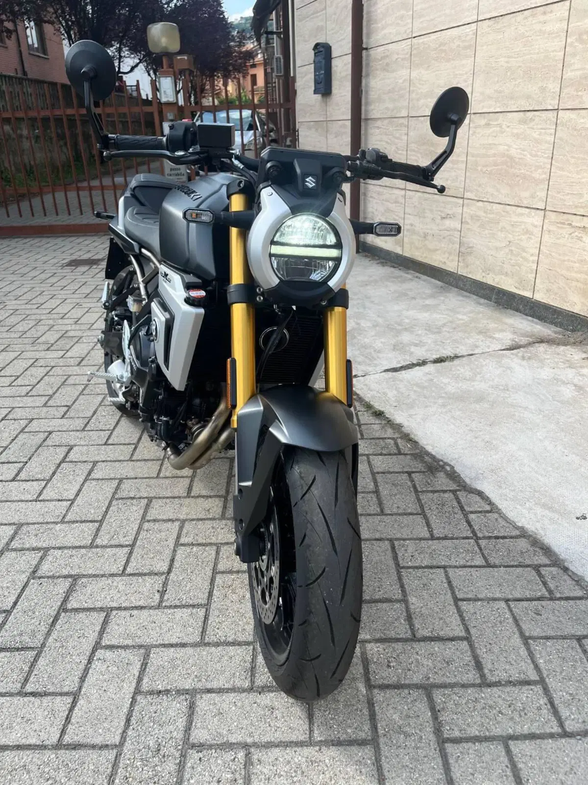 Suzuki GSX-8T (2025 - 26) (2)