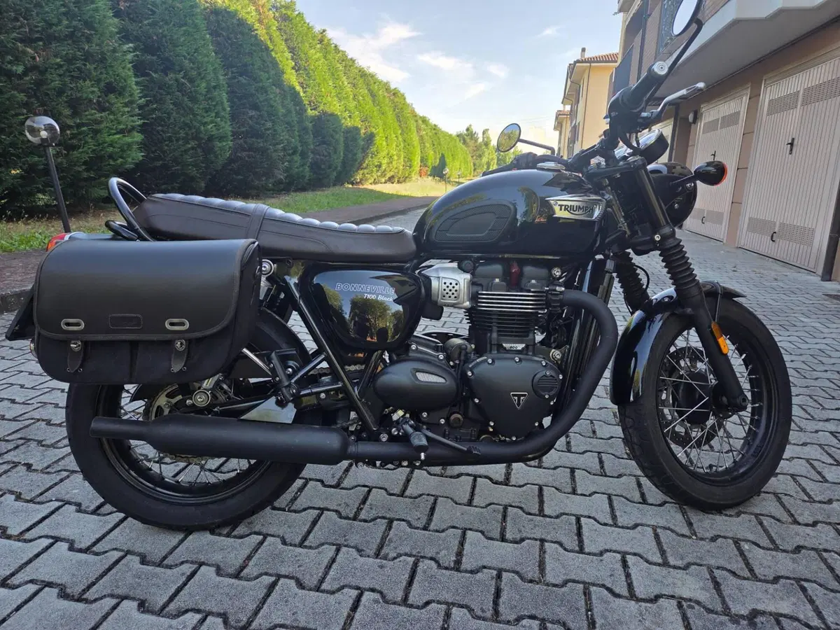Triumph Bonneville T100 Black (2017 - 20) (2)