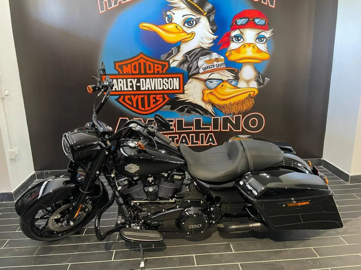 Harley-Davidson Road King Special (2021 - 25) (3)