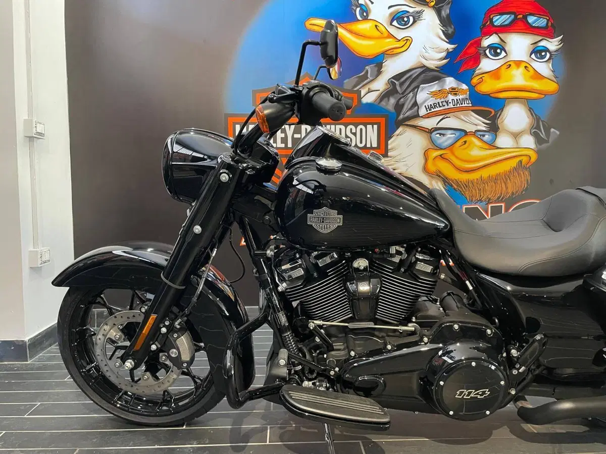 Harley-Davidson Road King Special (2021 - 25) (4)