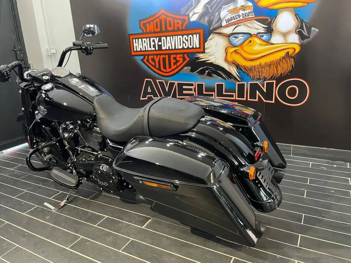 Harley-Davidson Road King Special (2021 - 25) (5)