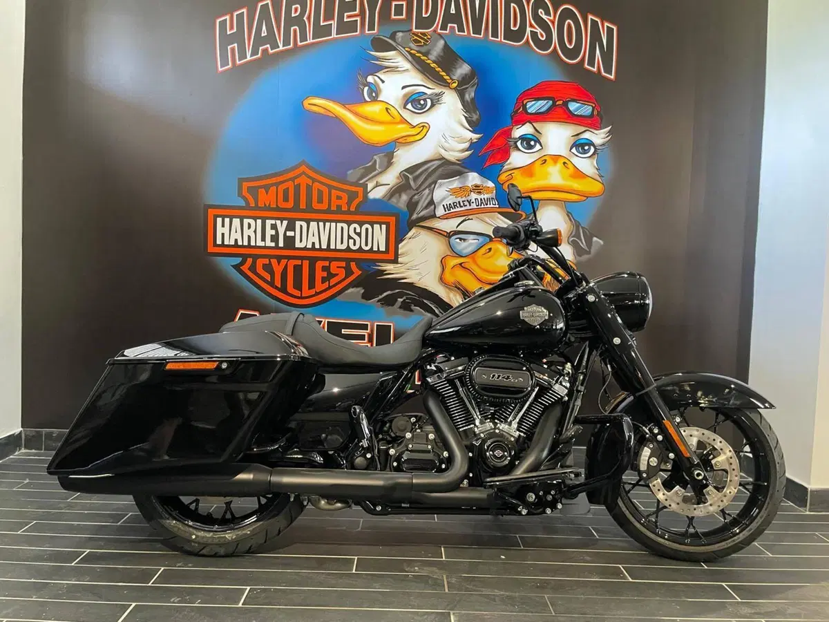 Harley-Davidson Road King Special (2021 - 25) (6)