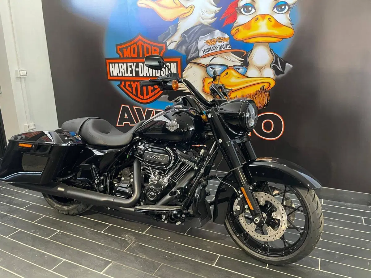 Harley-Davidson Road King Special (2021 - 25) (8)