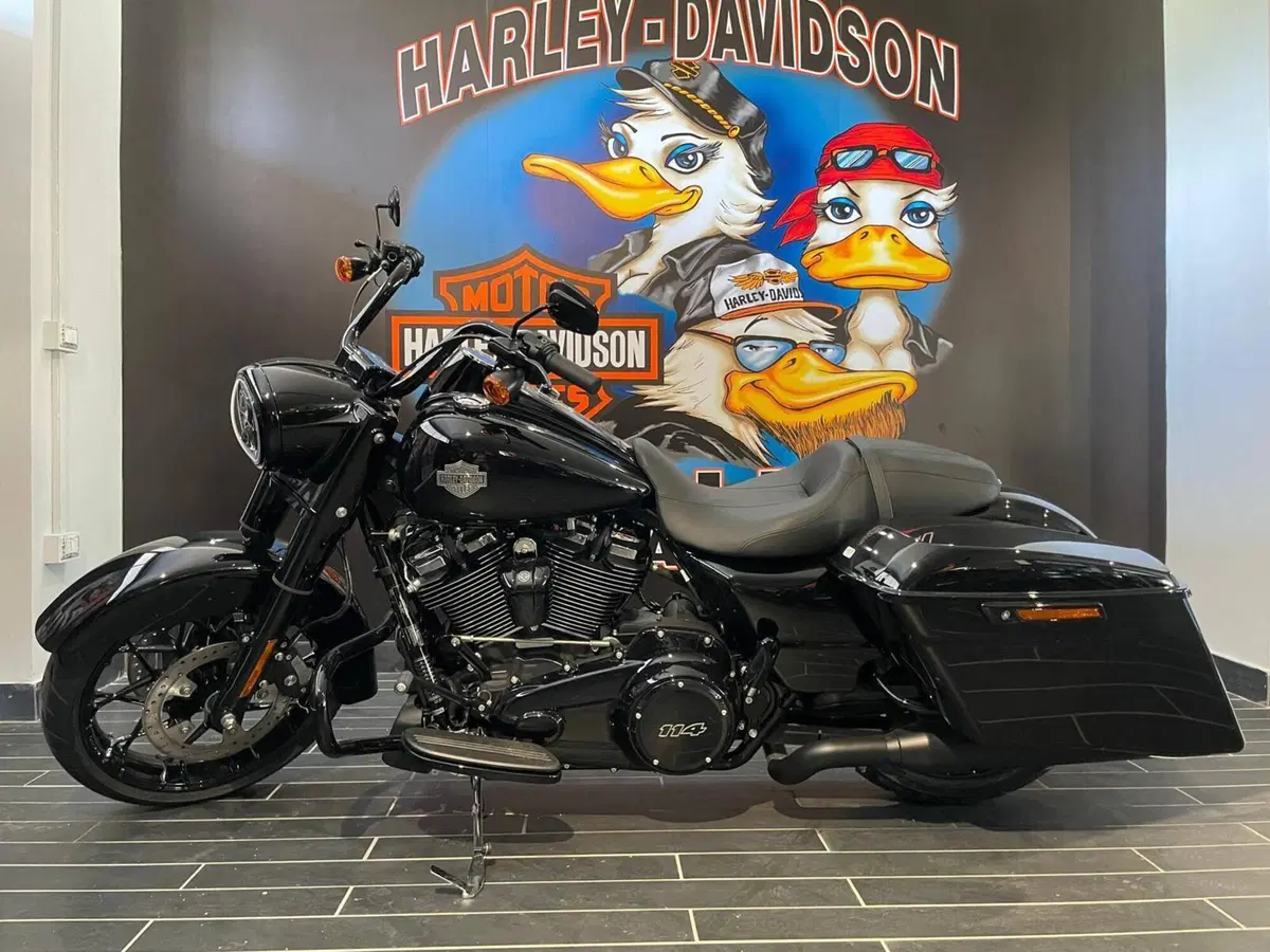 Harley-Davidson Road King Special (2021 - 25) (9)