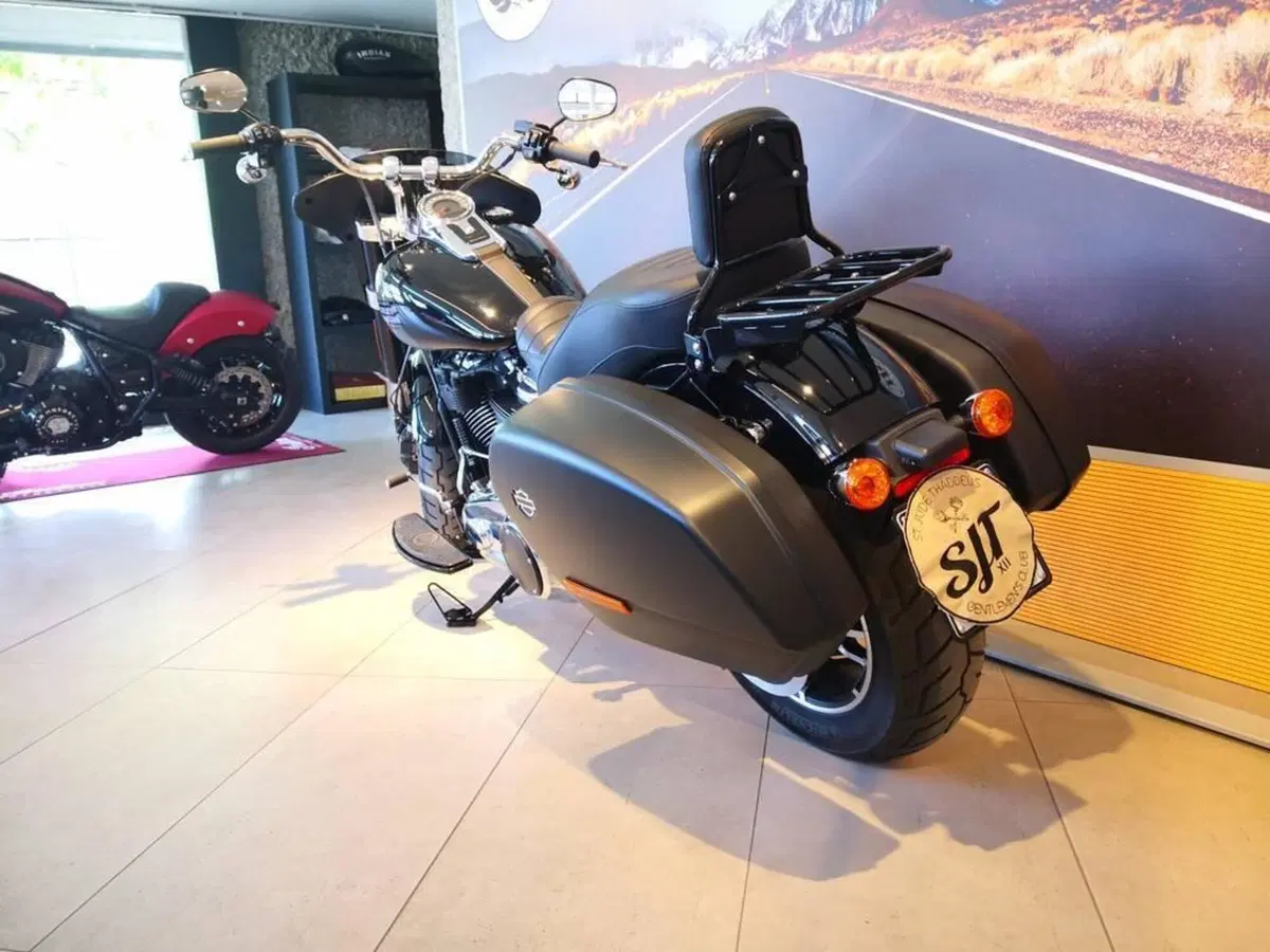 Harley-Davidson Sport Glide (2021 - 25) (7)