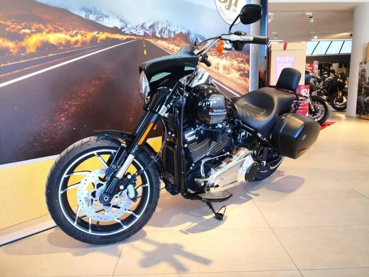 Harley-Davidson Sport Glide (2021 - 25) (10)