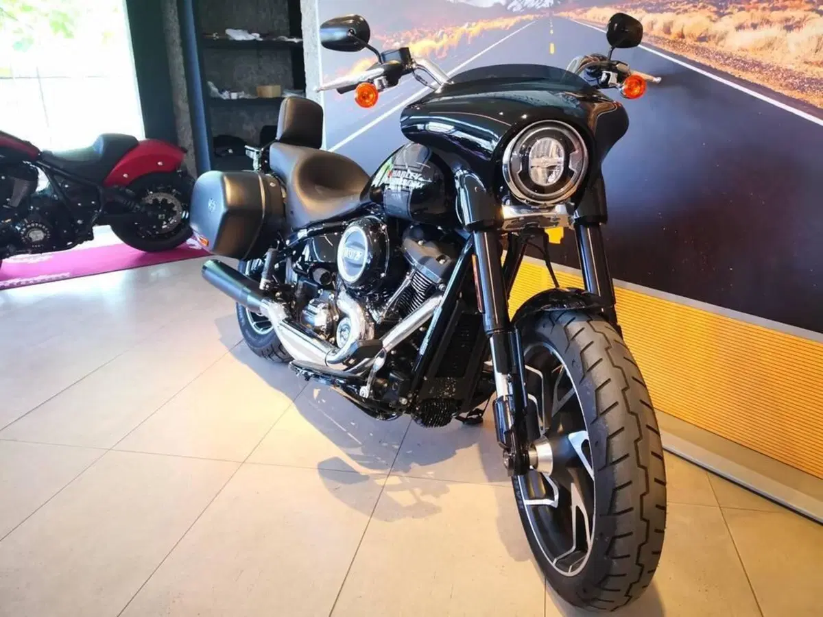 Harley-Davidson Sport Glide (2021 - 25) (11)