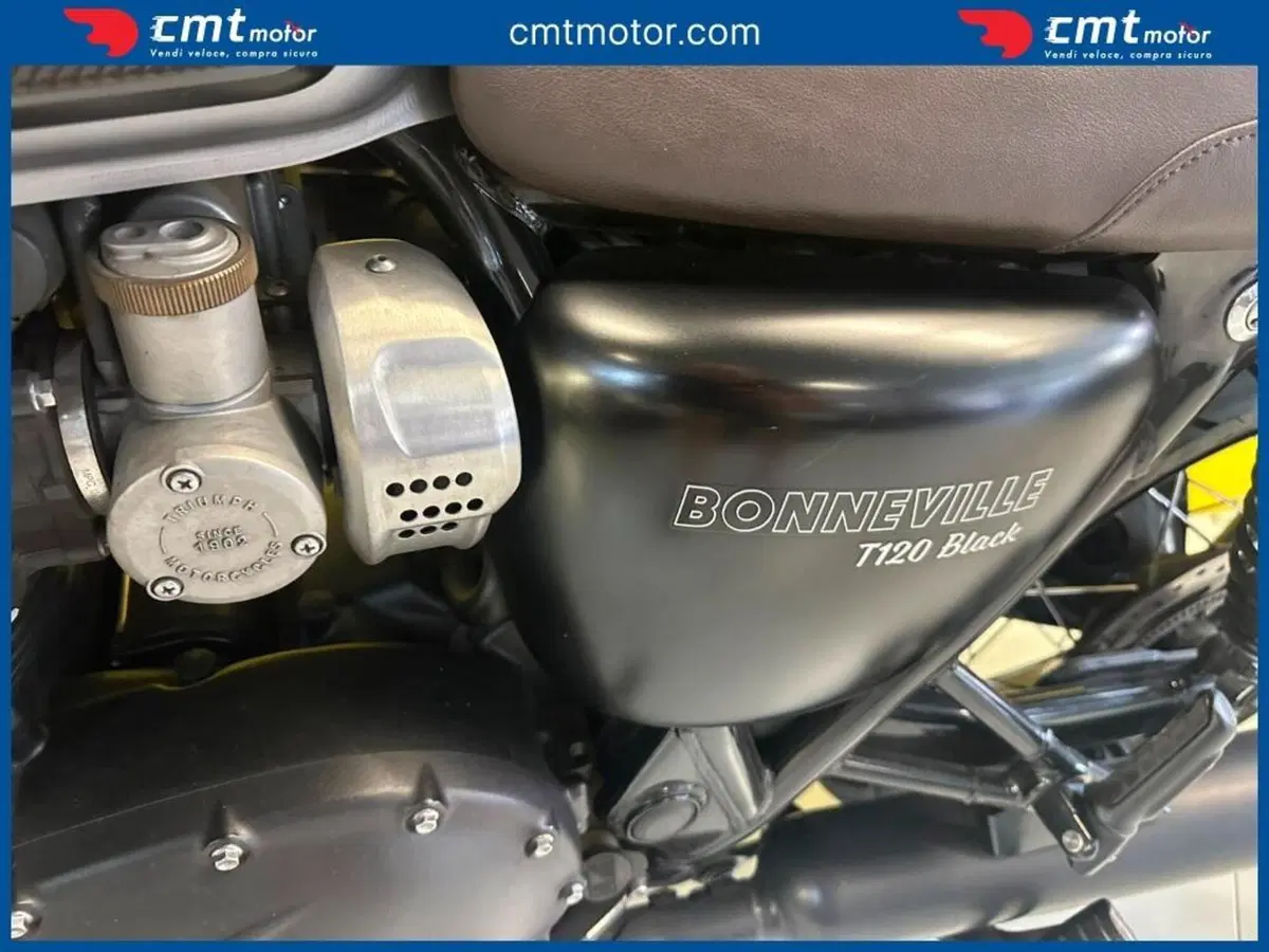 Triumph Bonneville T120 (2016 - 20) (9)