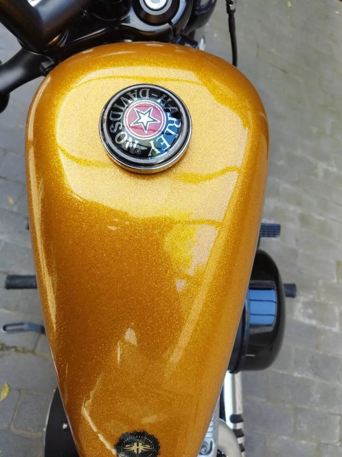 Harley-Davidson 1200 Forty-Eight (2016 - 20) (3)