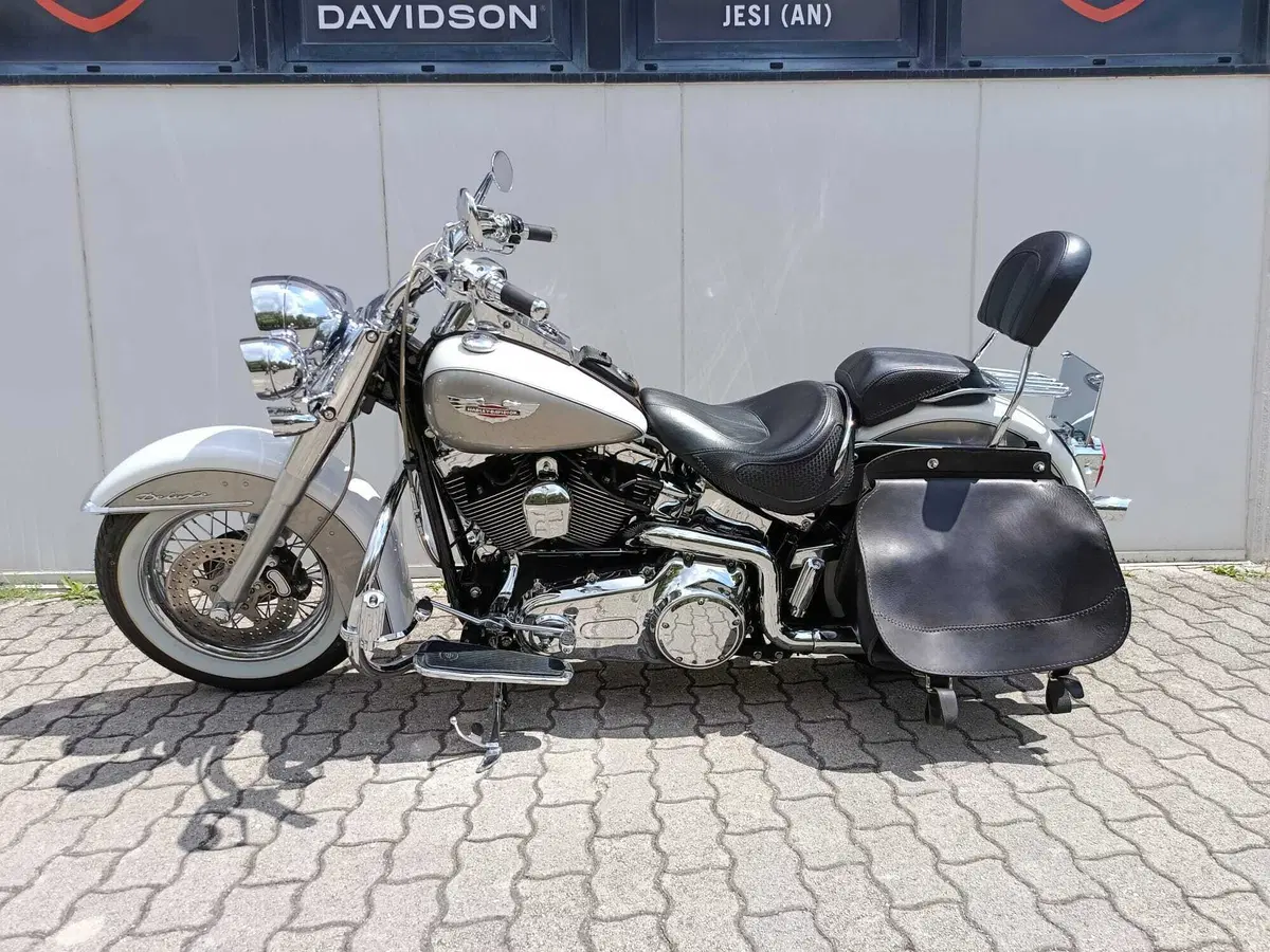 Harley-Davidson 1584 Deluxe (2007 - 08) - FLSTN (2)