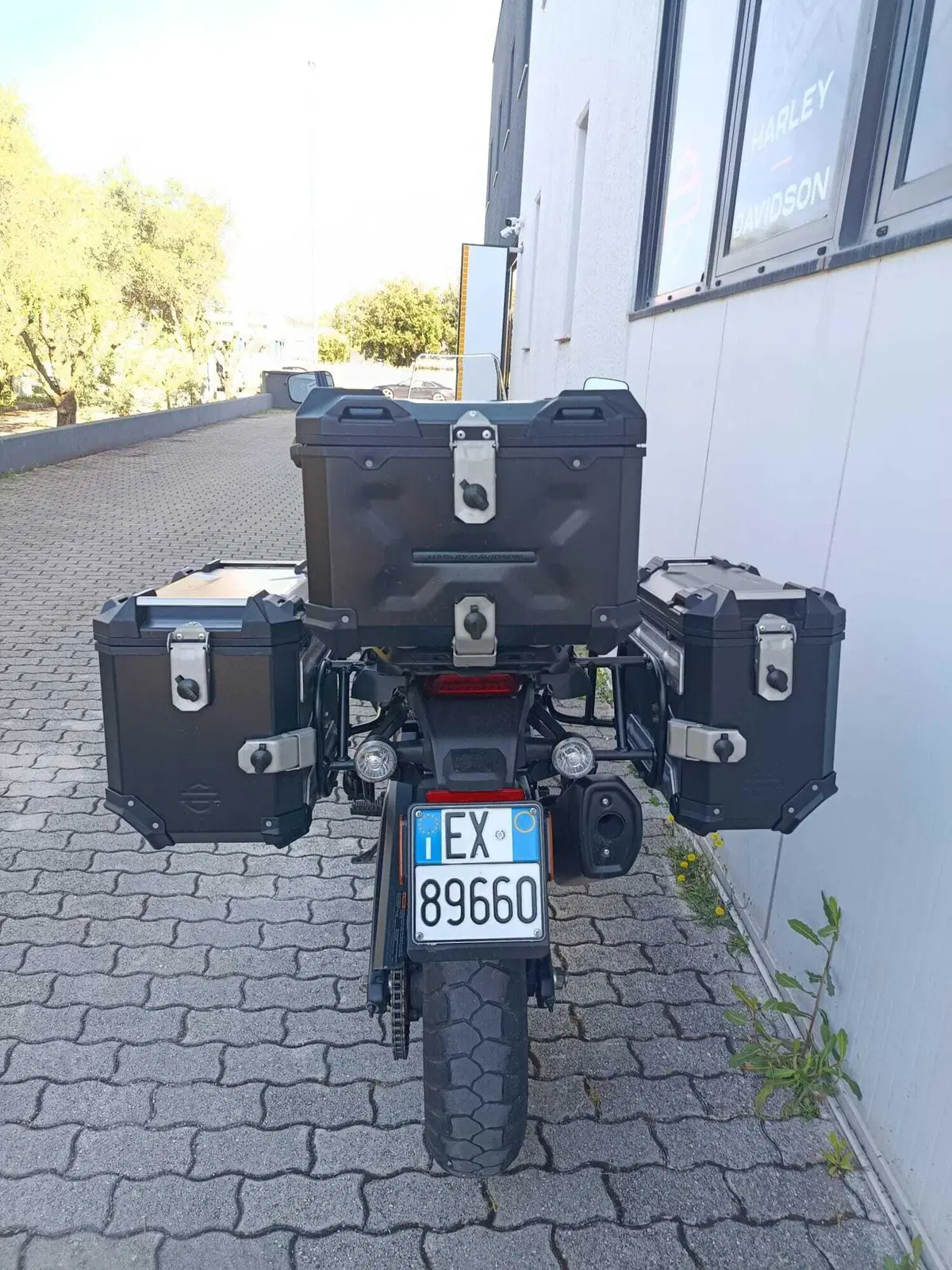 Harley-Davidson Pan America 1250 Special (2020 - 25) (4)