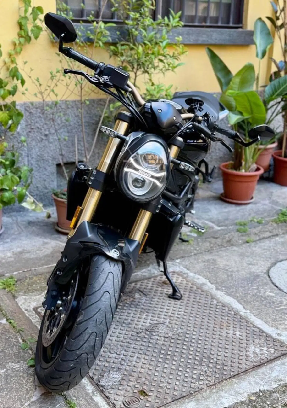 Benelli 752 S (2019 - 20) (7)