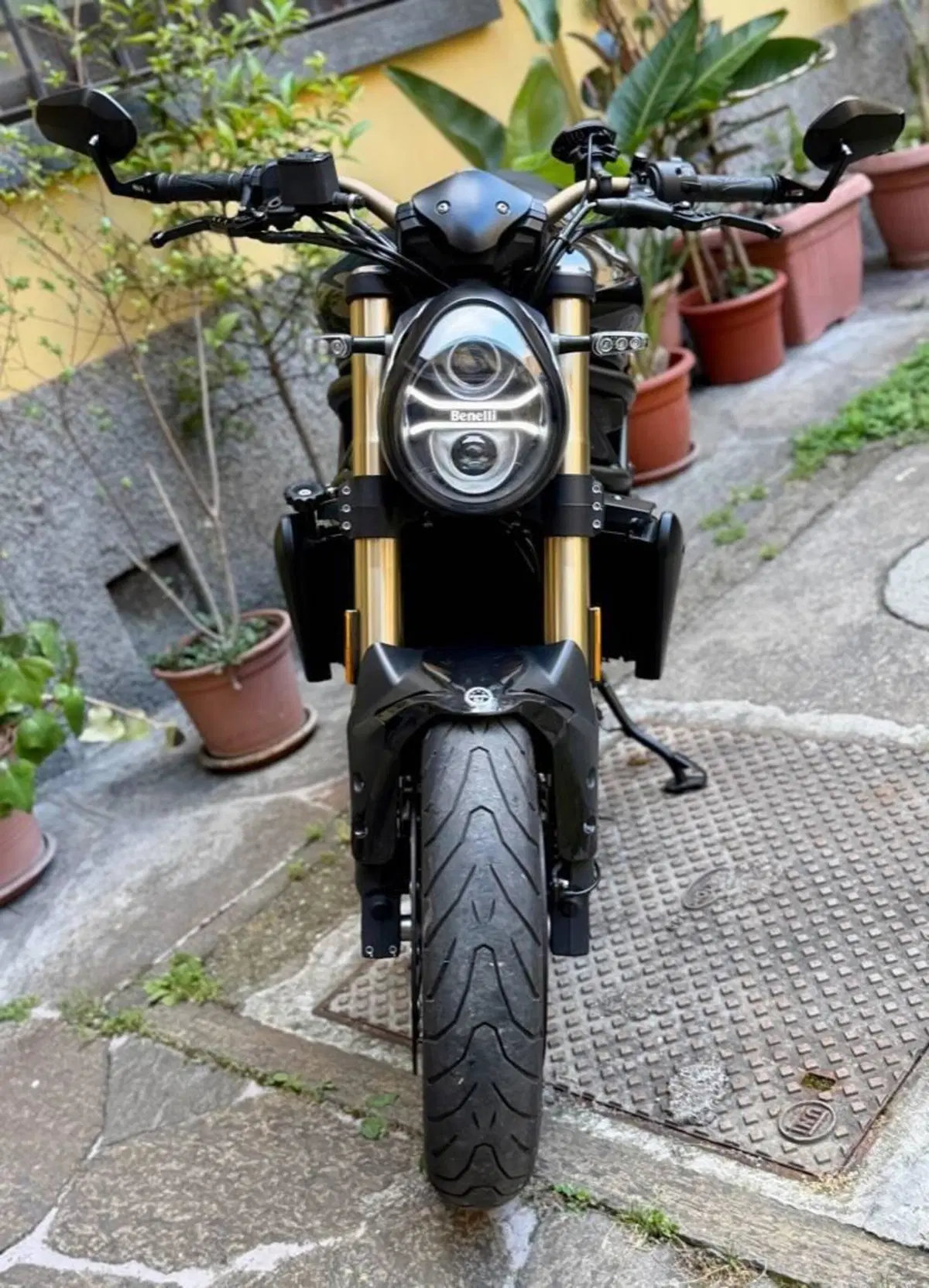 Benelli 752 S (2019 - 20) (8)
