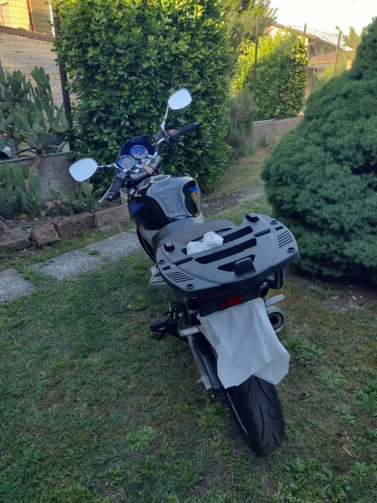 Suzuki GS 500 (2001 - 06) (8)