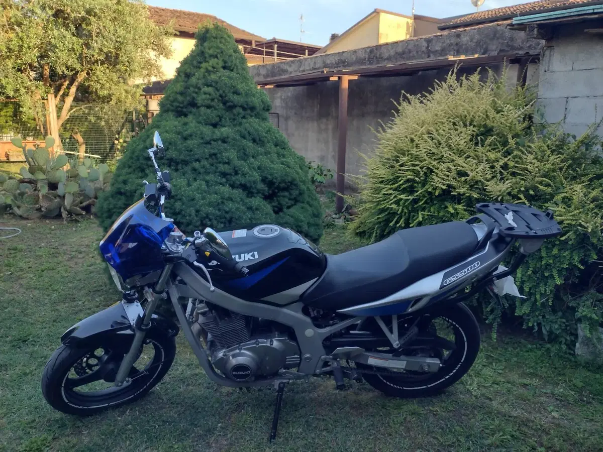 Suzuki GS 500 (2001 - 06) (6)