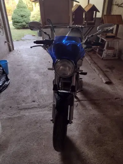 Suzuki GS 500 (2001 - 06) usata