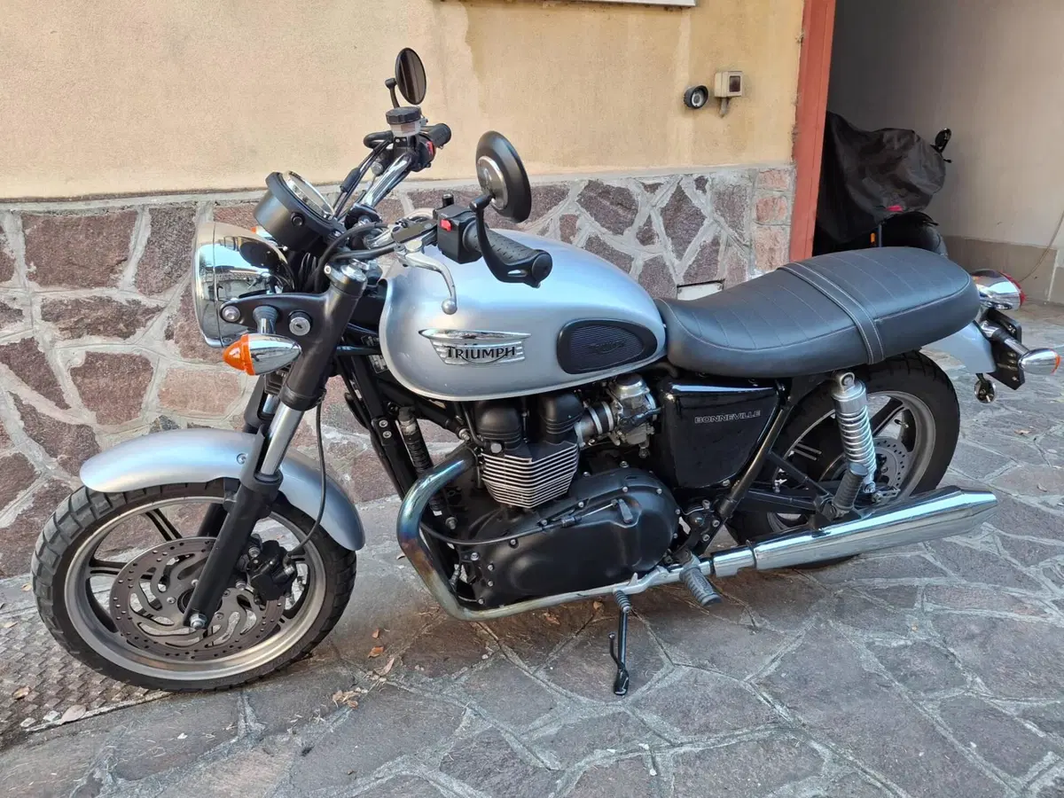 Triumph Bonneville T100 SE (2014) (2)