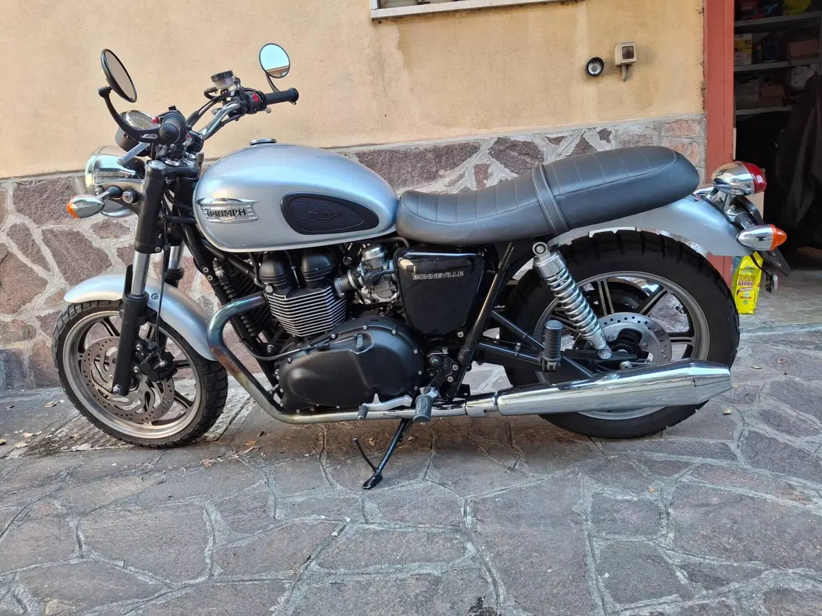 Triumph Bonneville T100 SE (2014) (3)