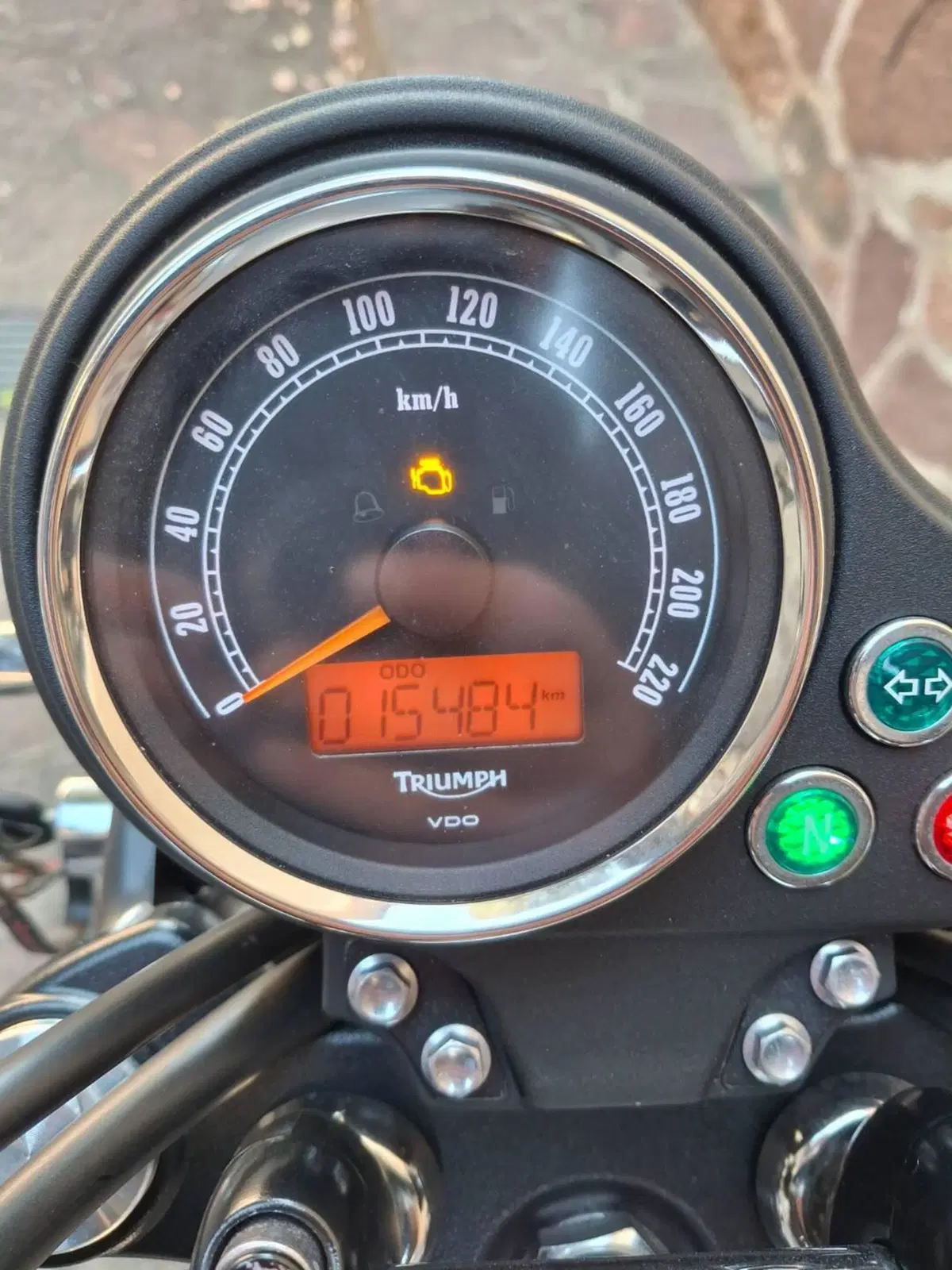 Triumph Bonneville T100 SE (2014) (5)