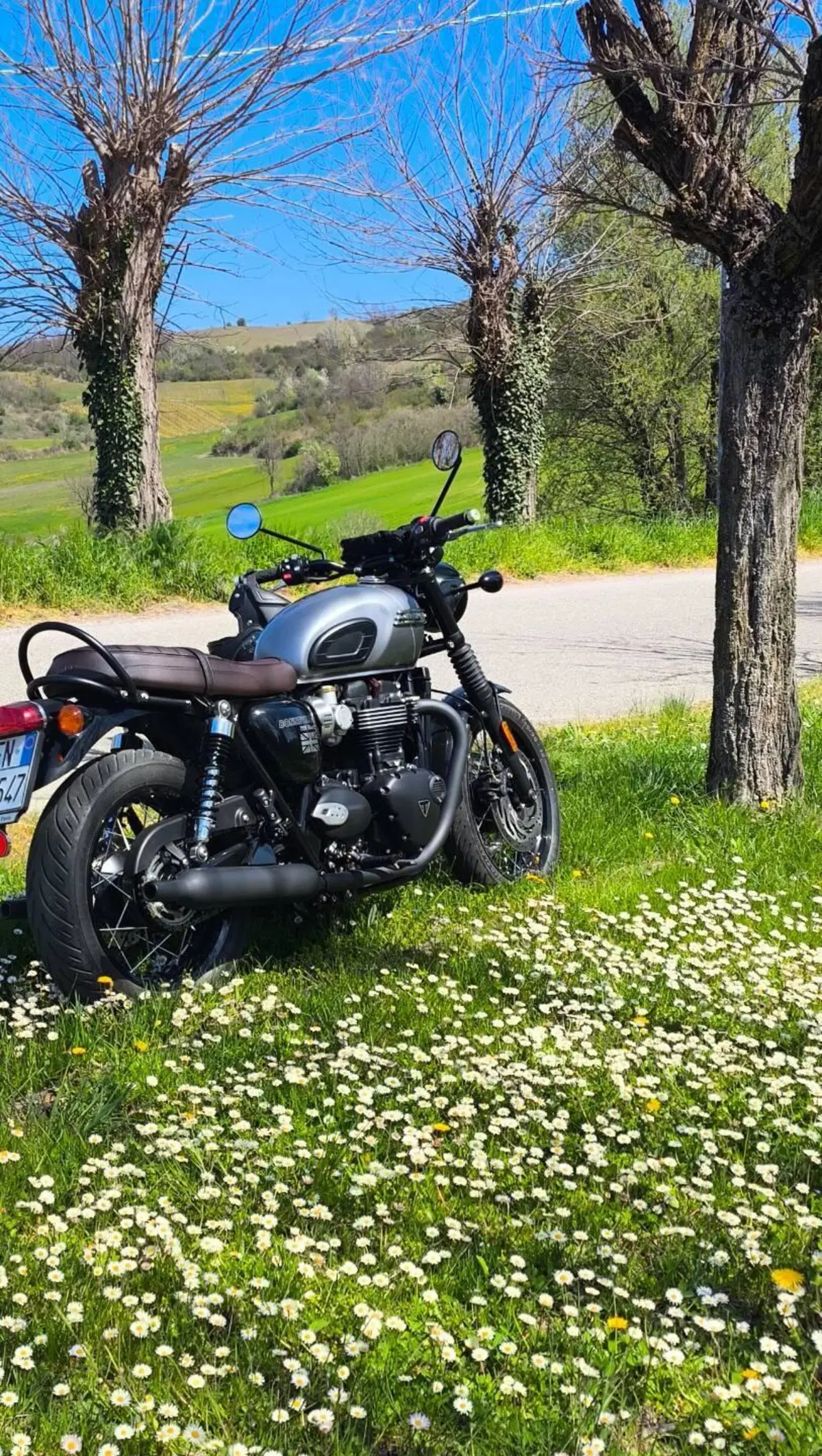 Triumph Bonneville T120 Black (2021 - 25) (2)