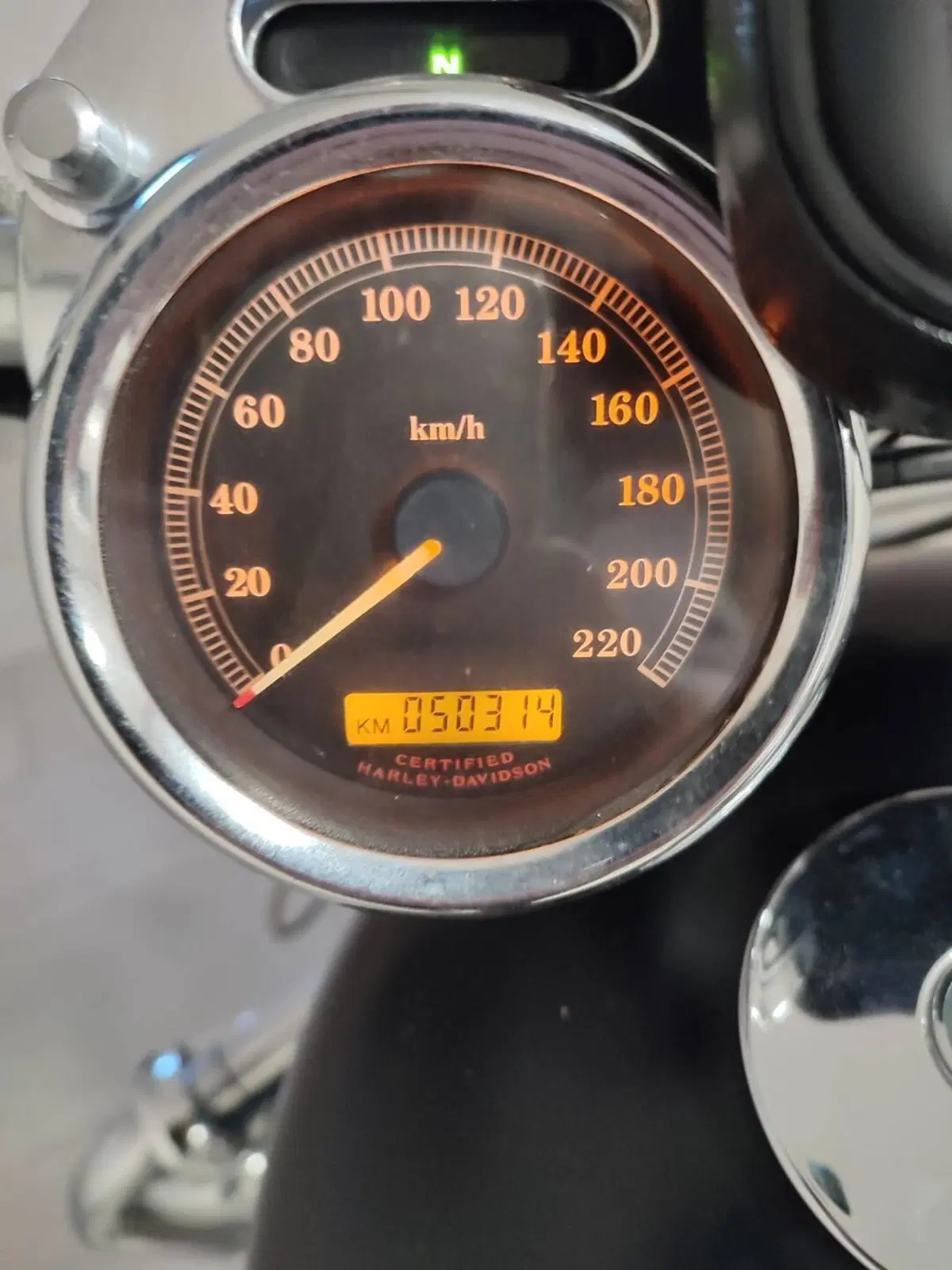 Harley-Davidson 1200 Custom (2004 - 06) - XL 1200C (4)