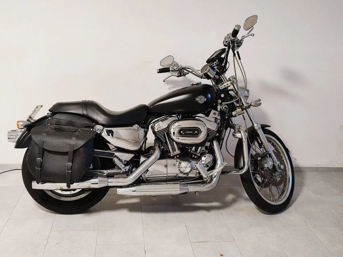 Harley-Davidson 1200 Custom (2004 - 06) - XL 1200C (2)