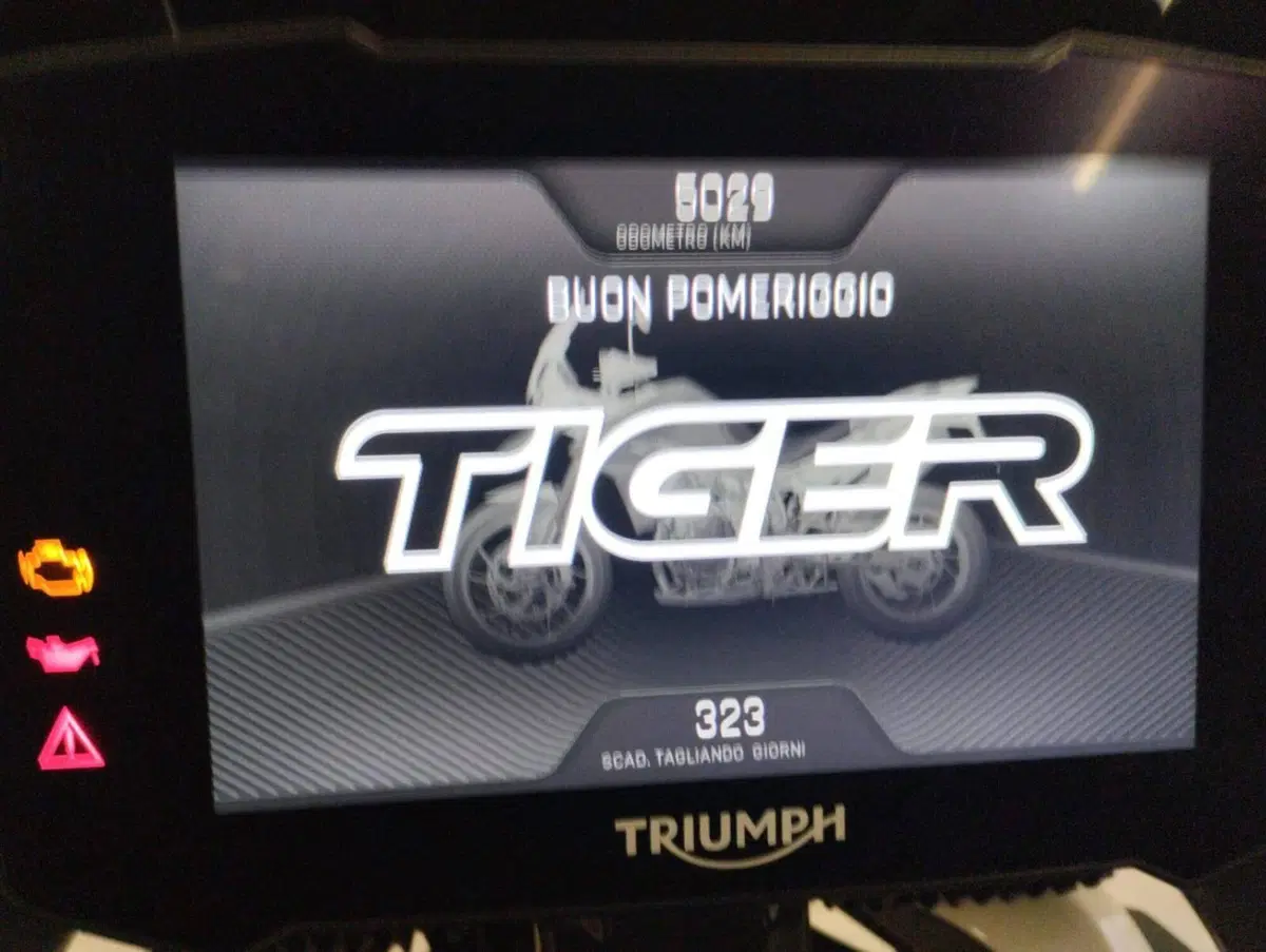 Triumph Tiger 900 Rally Pro (2020 - 23) (6)