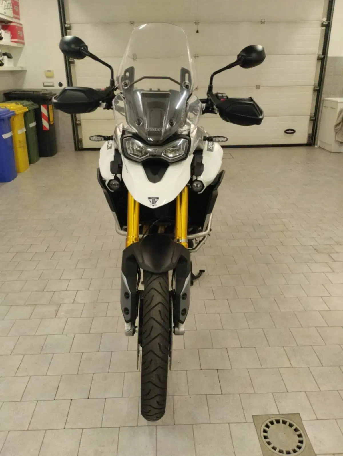 Triumph Tiger 900 Rally Pro (2020 - 23)