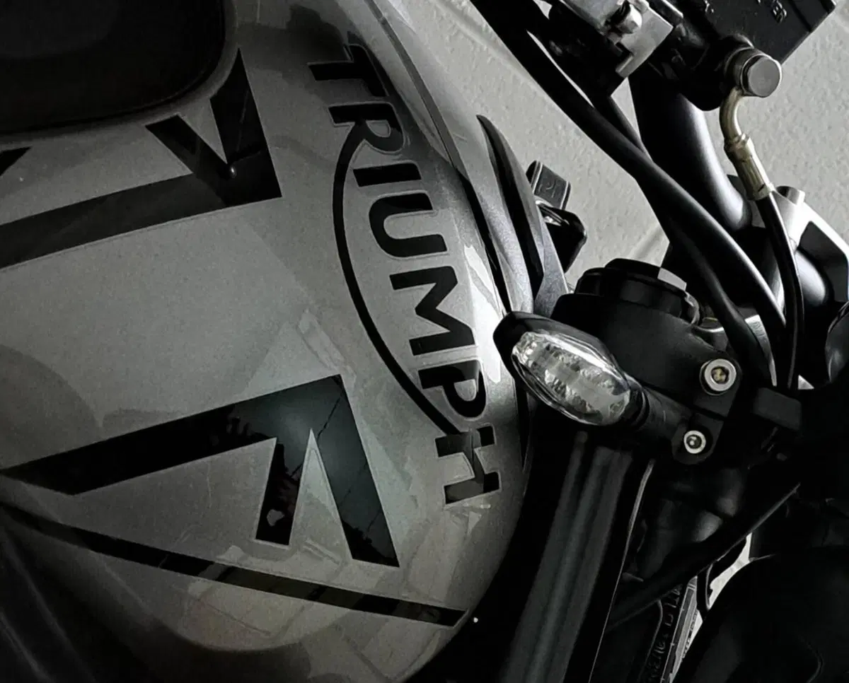 Triumph Trident 660 (2021 - 24) (4)