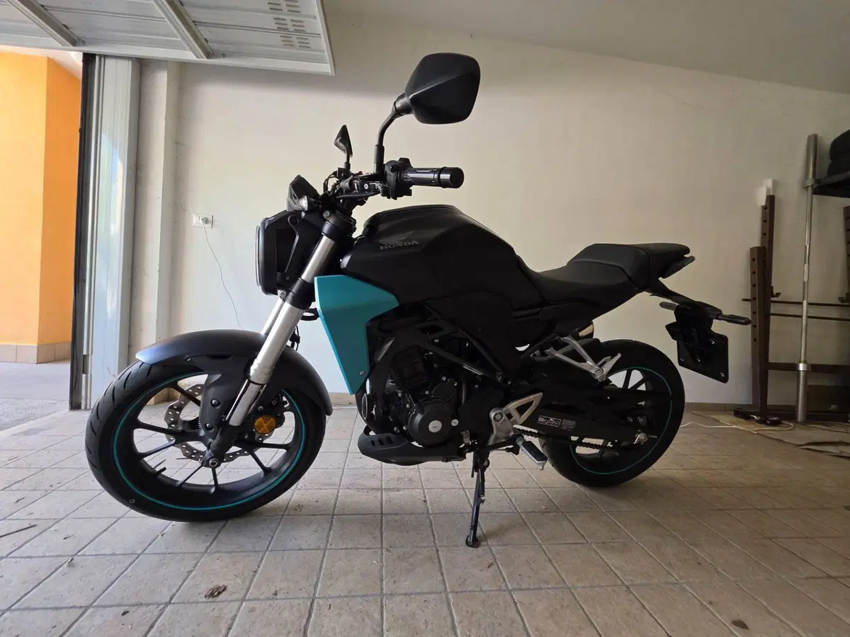 Honda CB 300 R (2018 - 19) (4)