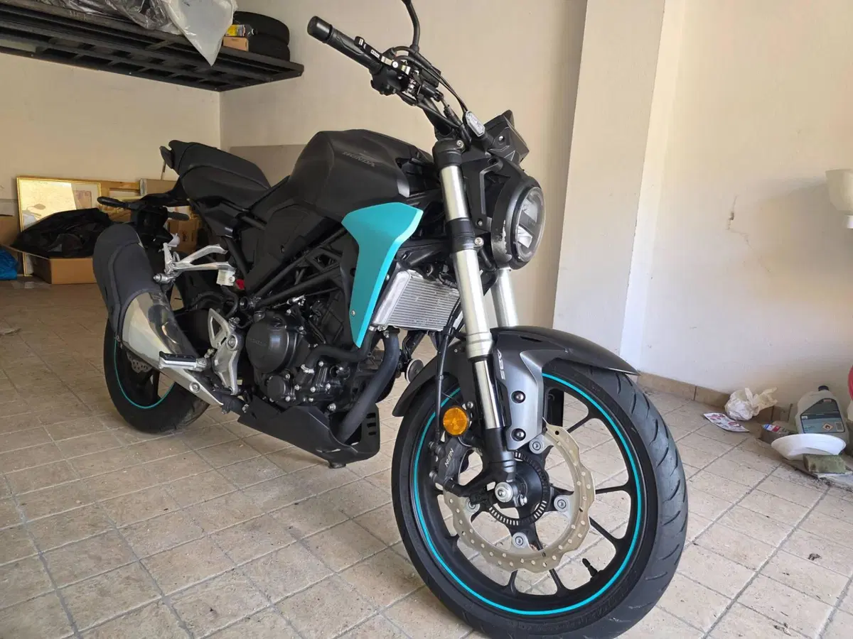 Honda CB 300 R (2018 - 19) (7)