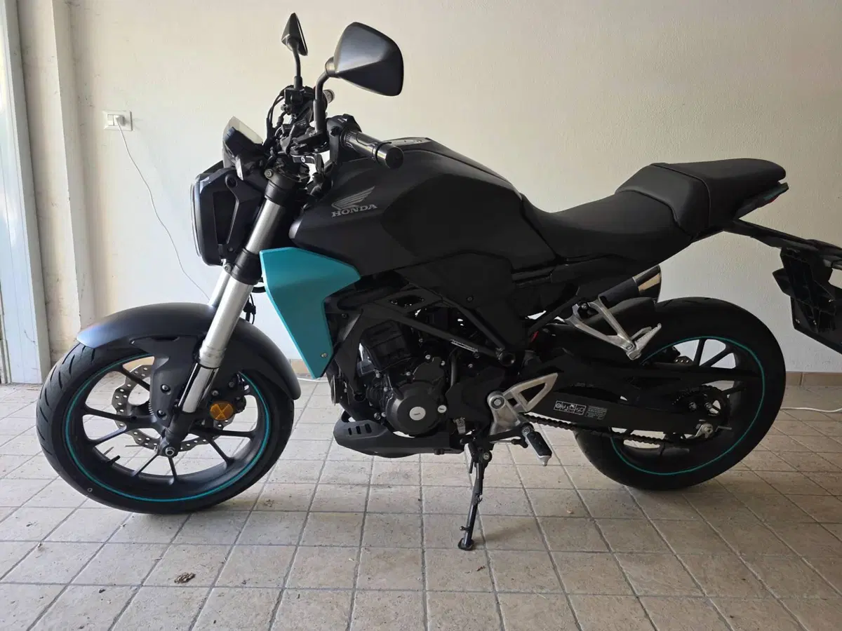 Honda CB 300 R (2018 - 19) (9)