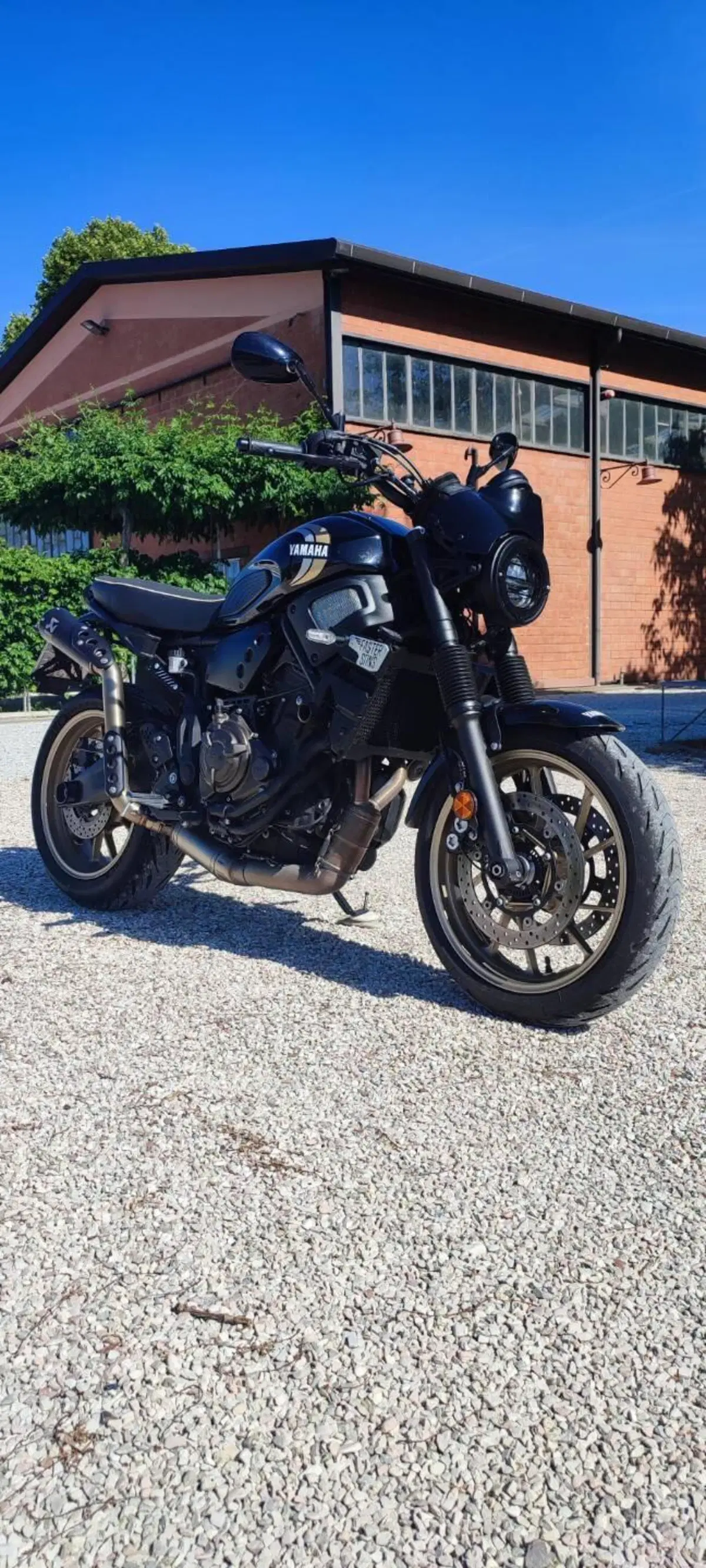 Yamaha XSR 700 (2022 - 26) (2)