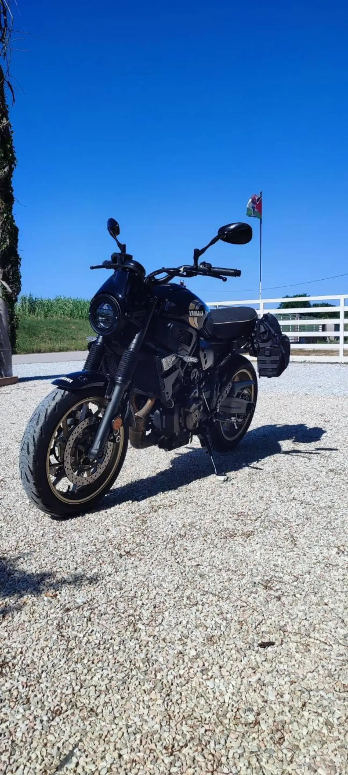 Yamaha XSR 700 (2022 - 26) (5)