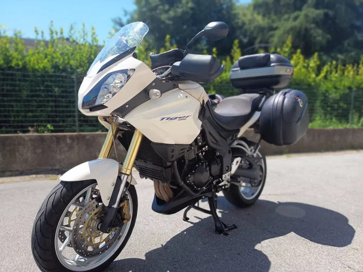 Triumph Tiger 1050 (2006 - 12) (8)