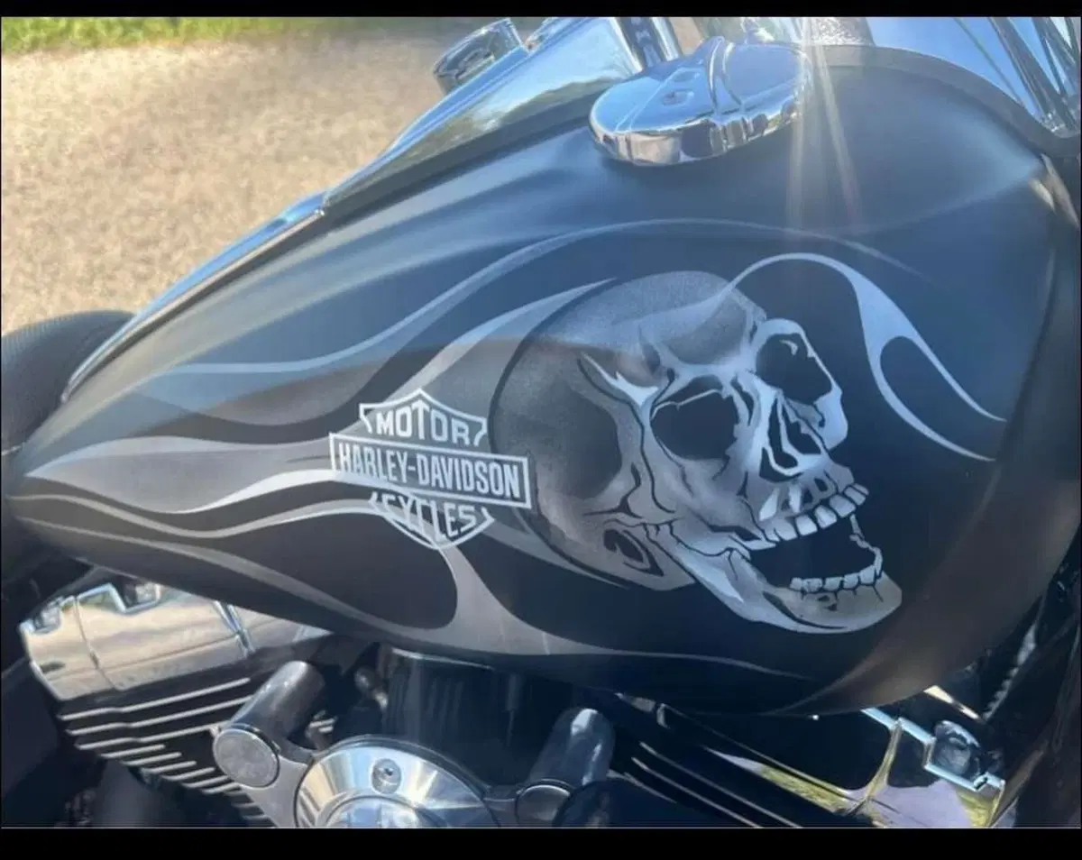 Harley-Davidson 1584 Fat Bob (2007 - 13) - FXDF (3)