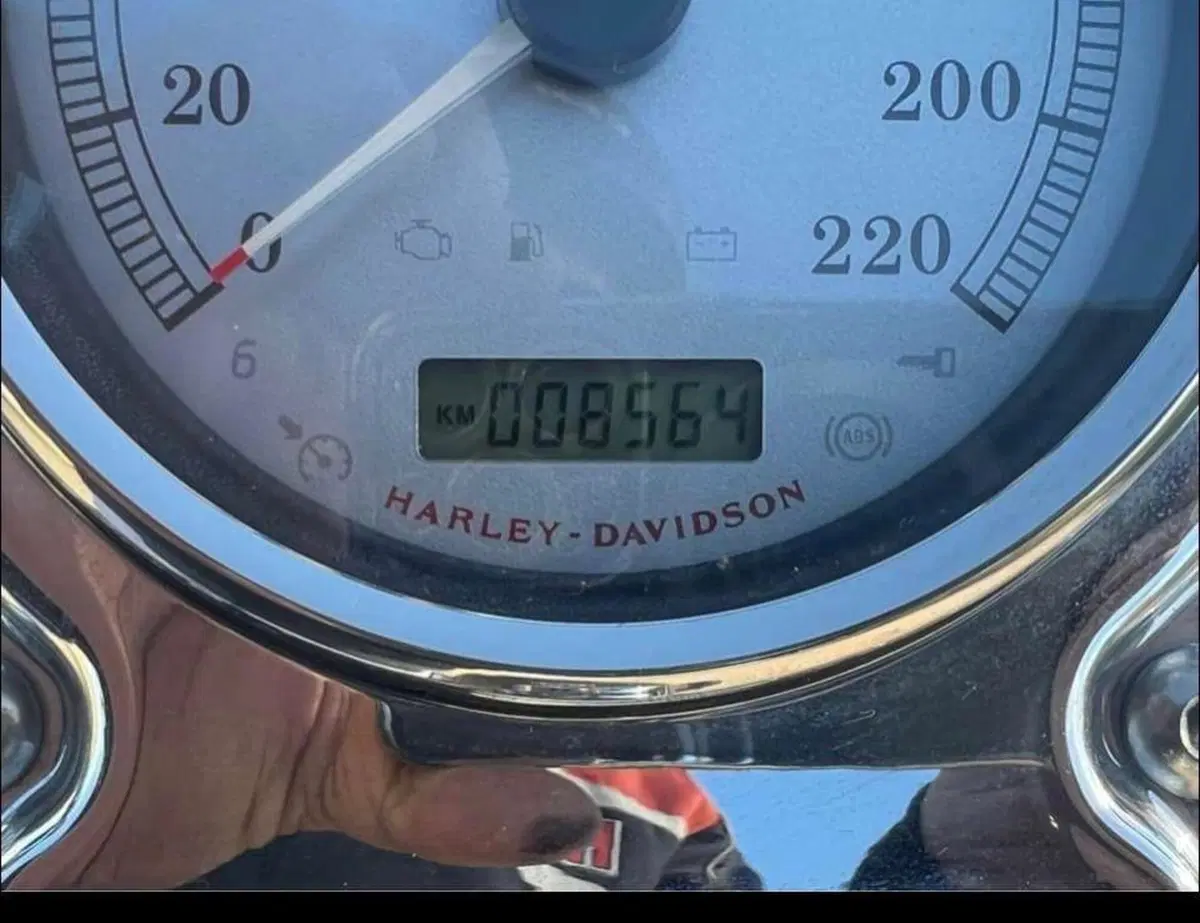 Harley-Davidson 1584 Fat Bob (2007 - 13) - FXDF (6)