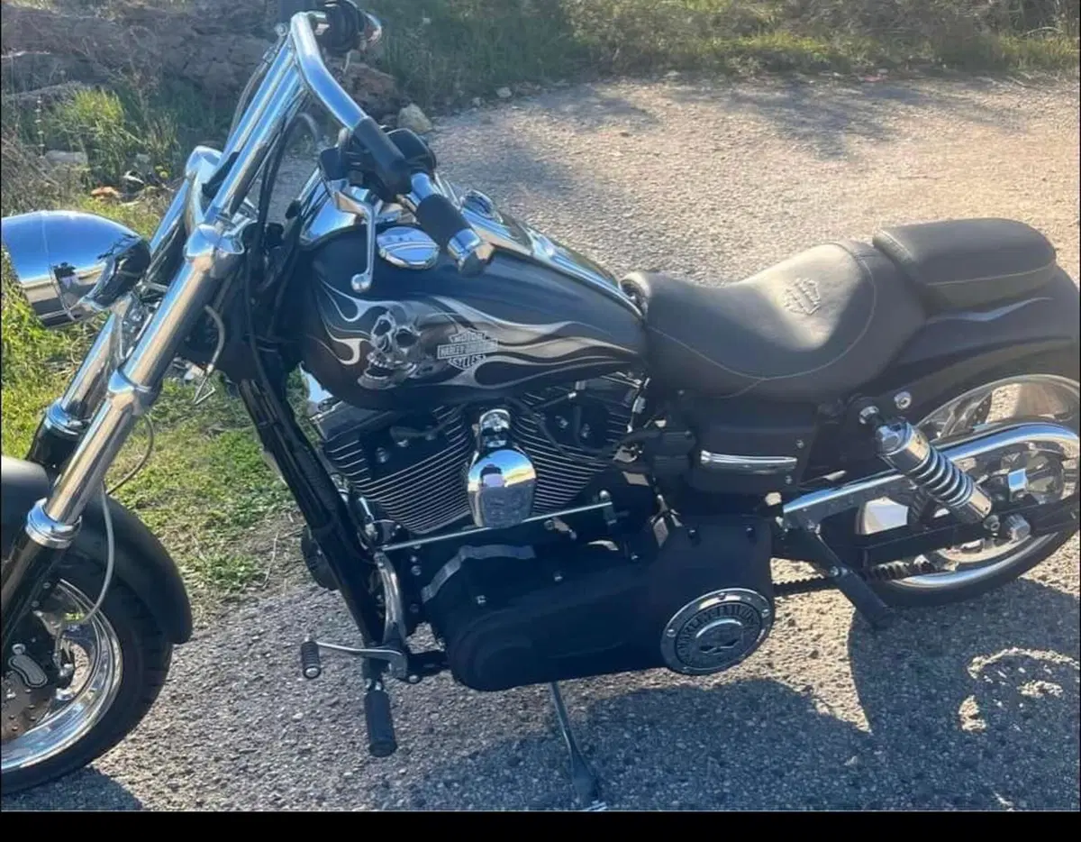 Harley-Davidson 1584 Fat Bob (2007 - 13) - FXDF (7)