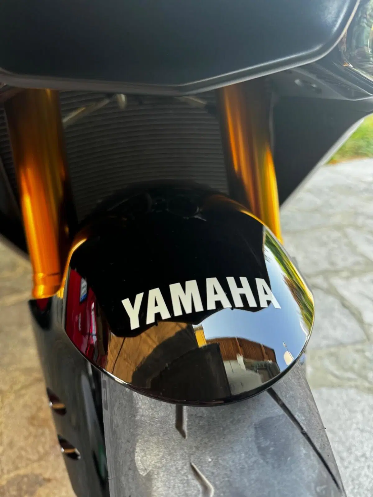 Yamaha YZF R1 60th Anniversary (2015 - 16) (11)