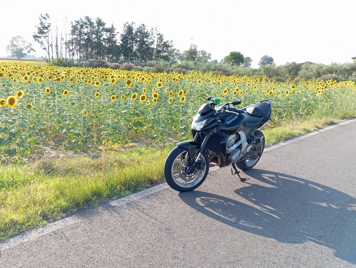 Kawasaki Z 750 (2007 - 14) (3)